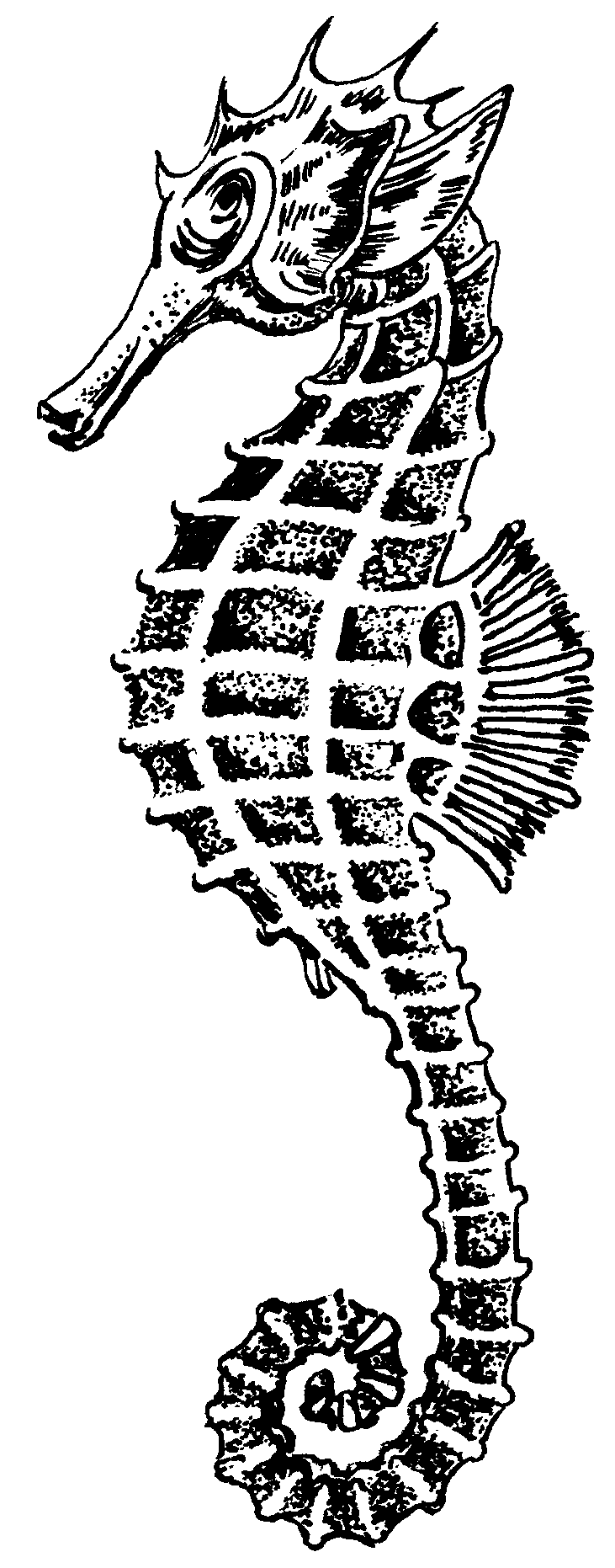 TUVIKERO
